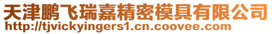 天津鵬飛瑞嘉精密模具有限公司