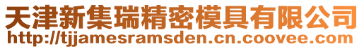 天津新集瑞精密模具有限公司