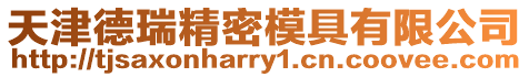 天津德瑞精密模具有限公司