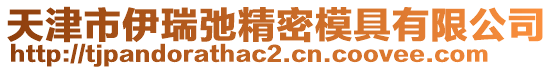 天津市伊瑞弛精密模具有限公司