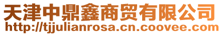 天津中鼎鑫商貿有限公司
