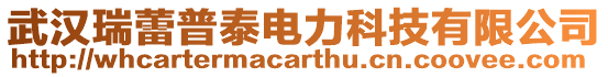 武漢瑞蕾普泰電力科技有限公司