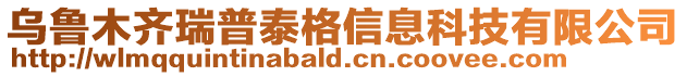 烏魯木齊瑞普泰格信息科技有限公司