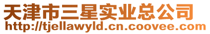 天津市三星實業總公司