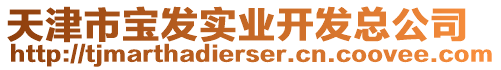 天津市寶發實業開發總公司
