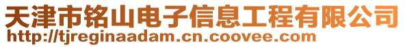 天津市銘山電子信息工程有限公司