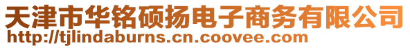 天津市華銘碩揚電子商務有限公司