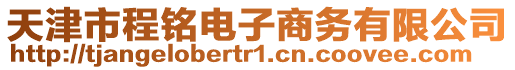 天津市程銘電子商務有限公司