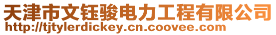 天津市文鈺駿電力工程有限公司