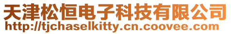 天津松恒電子科技有限公司