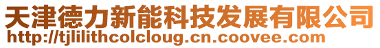 天津德力新能科技發(fā)展有限公司