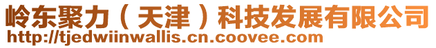 嶺東聚力(天津)科技發展有限公司