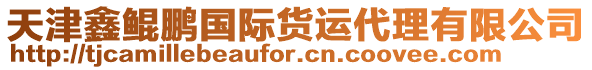 天津鑫鯤鵬國際貨運代理有限公司