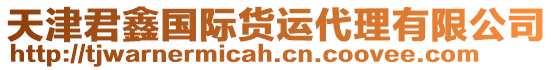 天津君鑫國際貨運代理有限公司