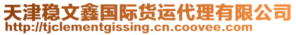 天津穩文鑫國際貨運代理有限公司