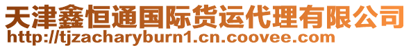 天津鑫恒通國際貨運代理有限公司