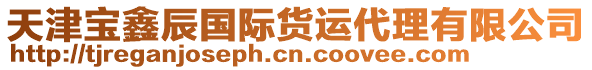 天津寶鑫辰國際貨運代理有限公司