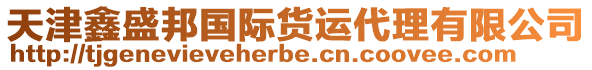 天津鑫盛邦國際貨運代理有限公司
