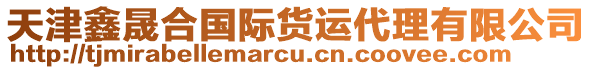 天津鑫晟合國際貨運代理有限公司