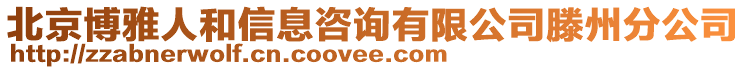 北京博雅人和信息咨詢有限公司滕州分公司