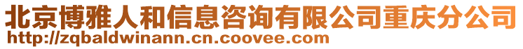 北京博雅人和信息咨詢有限公司重慶分公司
