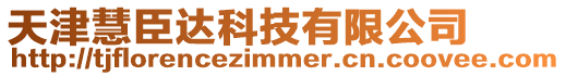 天津慧臣達(dá)科技有限公司