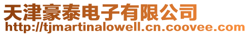 天津豪泰電子有限公司