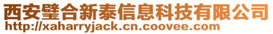 西安璧合新泰信息科技有限公司