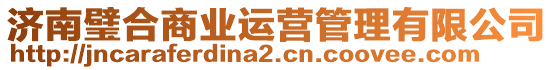 濟(jì)南璧合商業(yè)運(yùn)營管理有限公司