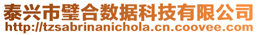 泰興市璧合數據科技有限公司