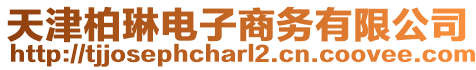 天津柏琳電子商務有限公司