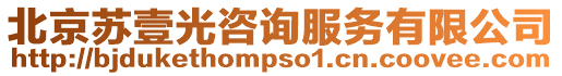 北京蘇壹光咨詢服務有限公司