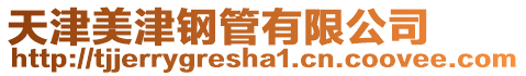天津美津鋼管有限公司