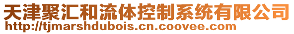 天津聚匯和流體控制系統(tǒng)有限公司