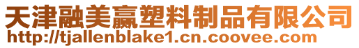 天津融美贏塑料制品有限公司