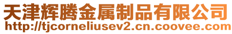 天津輝騰金屬制品有限公司