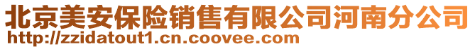 北京美安保險銷售有限公司河南分公司