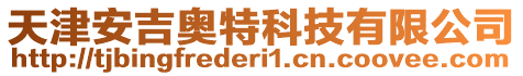天津安吉奧特科技有限公司