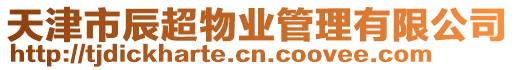 天津市辰超物業(yè)管理有限公司