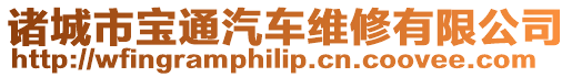 諸城市寶通汽車維修有限公司
