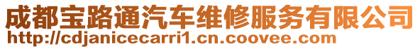 成都寶路通汽車維修服務(wù)有限公司