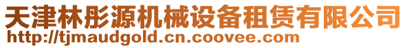 天津林彤源機械設(shè)備租賃有限公司