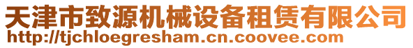 天津市致源机械设备租赁有限公司