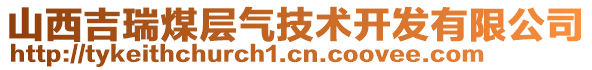 山西吉瑞煤層氣技術(shù)開發(fā)有限公司