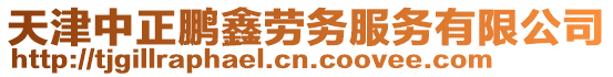 天津中正鵬鑫勞務服務有限公司