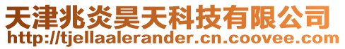 天津兆炎昊天科技有限公司