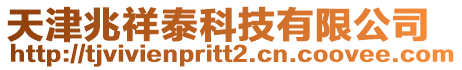 天津兆祥泰科技有限公司