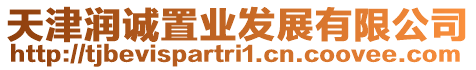 天津潤(rùn)誠置業(yè)發(fā)展有限公司