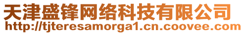 天津盛鋒網(wǎng)絡(luò)科技有限公司