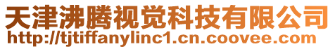 天津沸騰視覺科技有限公司